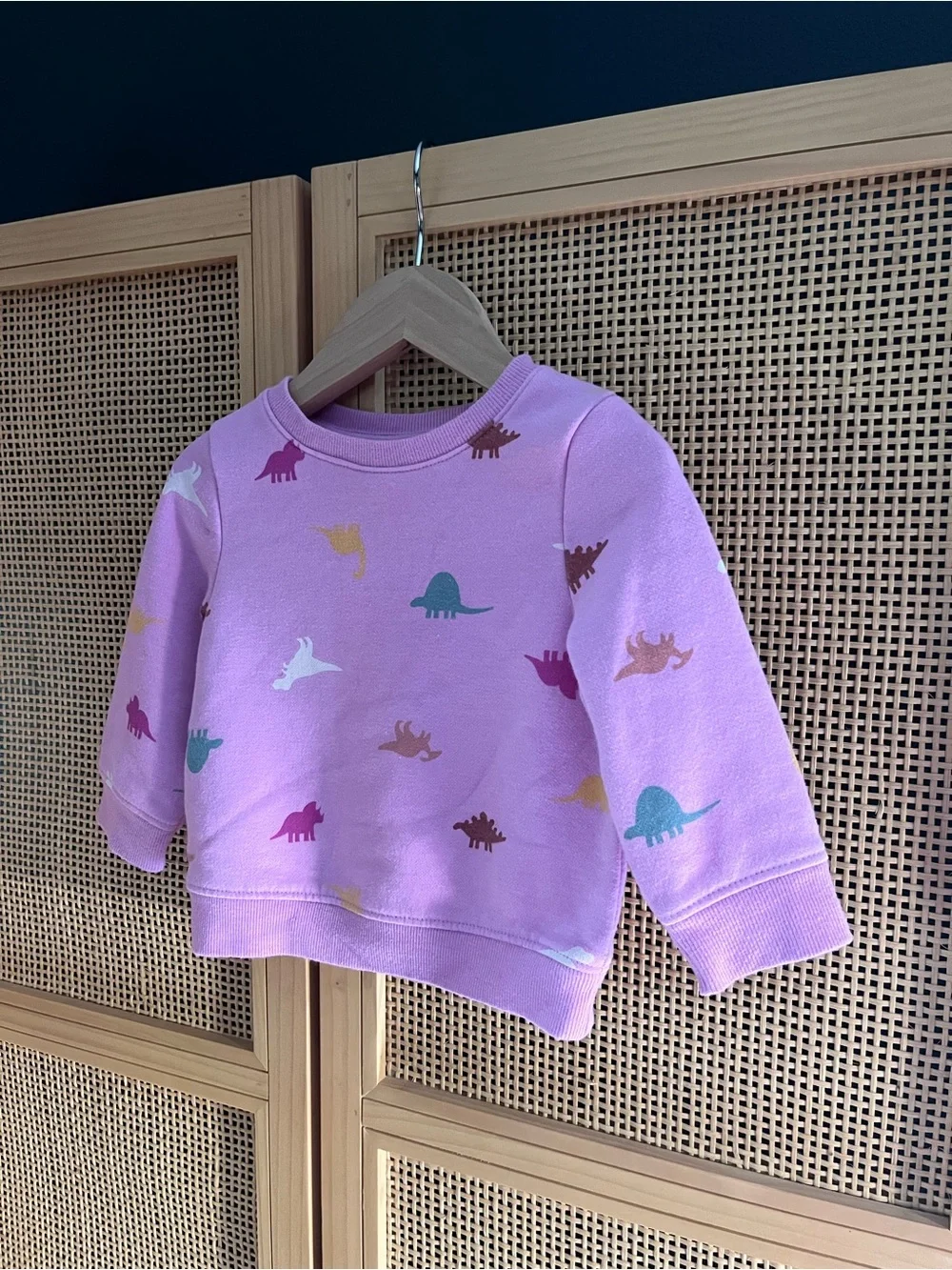 Cat & Jack 12M Sweatshirt with Multicolor Dino Print